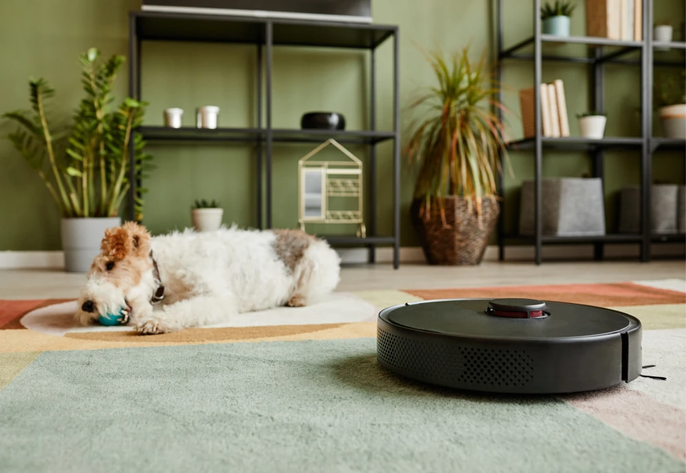 best home robot vacuum cleaner